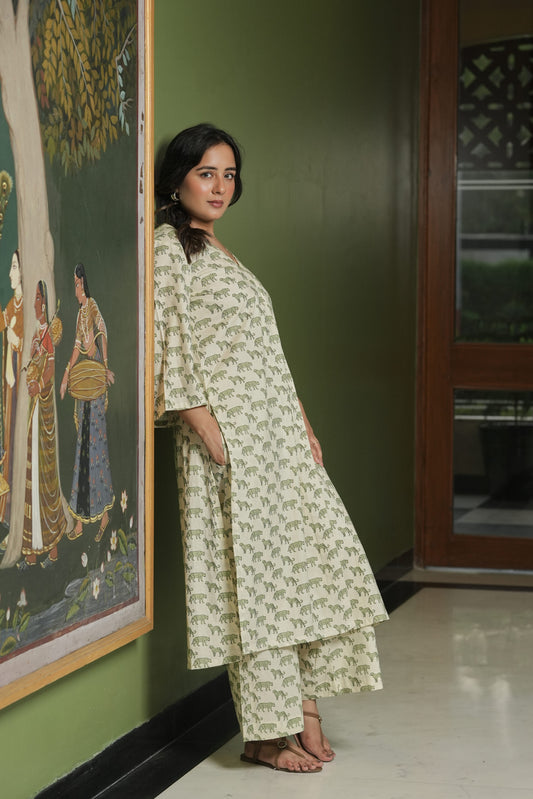 Animal Print Kurta Set with Flared Pants (Set of 2)